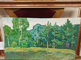 Основні засоби у кількості 36 одиниць (детальна інформація зазначена у паспорті активів)