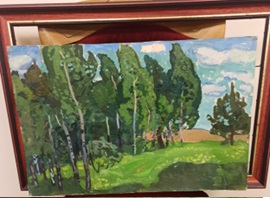 Основні засоби у кількості 36 одиниць (детальна інформація зазначена у паспорті активів)